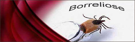 borreliose therapie bayern