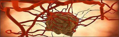 krebs therapie bayern